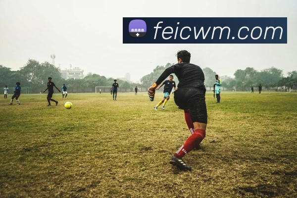 爱游戏app官网最新版服务体系